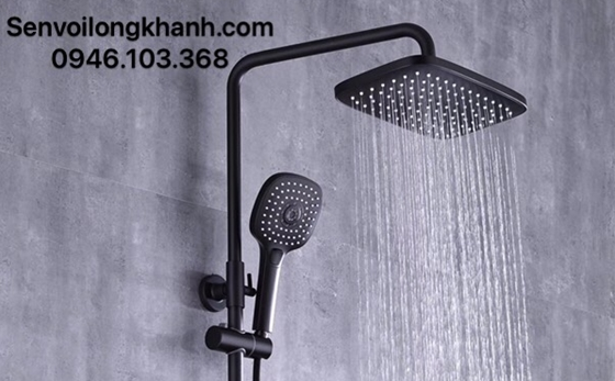 Sen cây nhiệt độ đen